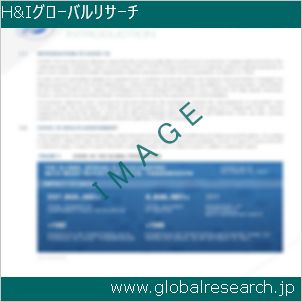 グローバルリサーチ調査レポートのイメージ